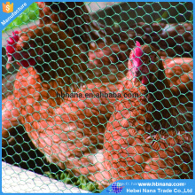 Grillage hexagonal/grillage de poulet vert/bas de fil de poulet de diamant